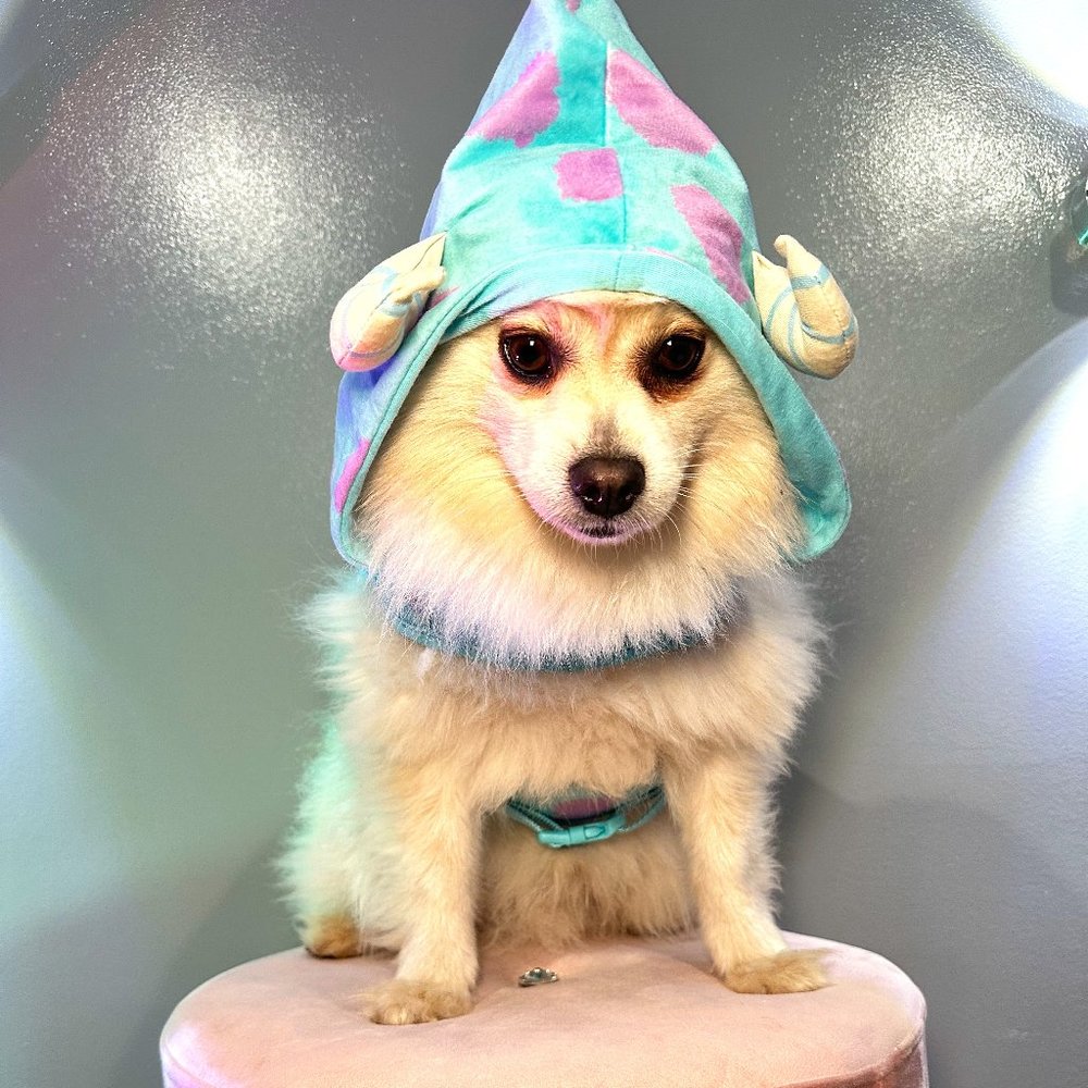 🎃  Halloween Costume Disney Tails Monster's Inc. Sulley Comfort Pet Harness Dog